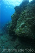 Die Felsenriffe vor Teneriffe bestehen aus erkalteter Lava (Teneriffa, Kanarische Inseln, Atlantischer Ozean) - Rocky reef of Tenerife (Tenerife, Canary Islands, Atlantic Ocean)