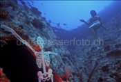 Unterwasser-Fotomodel posiert mit Skelett auf einem Schiffswrack (Malediven)