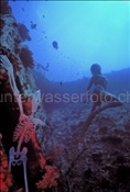 Unterwasser-Fotomodel posiert mit Skelett auf einem Schiffswrack (Malediven)