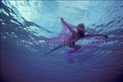 Unterwasser-Fotomodel posiert an Wasseroberfläche (Malediven)