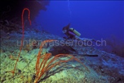 Taucherin mit Schwarzpunkt-Stechrochen (Taeniura meyeni) im indischen Ozean (Malediven)