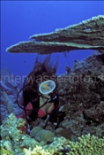 Taucherin erkundet Korallenriff (Malediven)