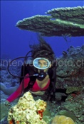 Taucherin erkundet Korallenriff (Malediven)